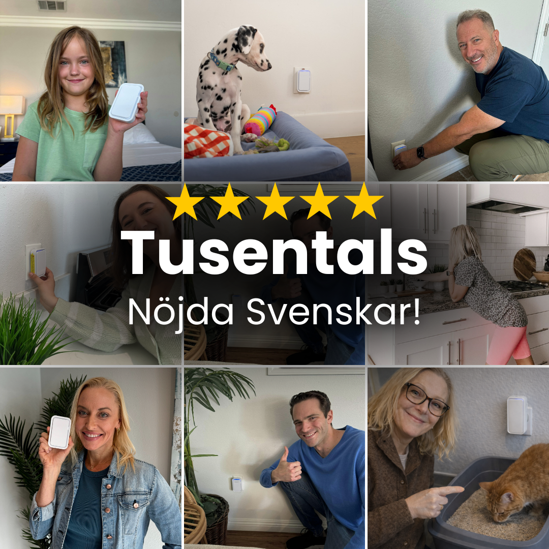 Sveora AllerClean™ - Friskare morgnar, Hälsosammare hem