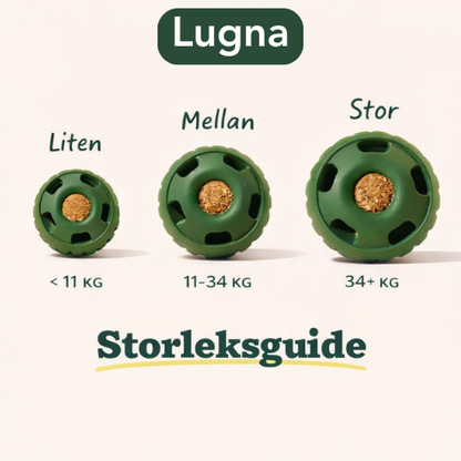 Sveora™ LUGNA Aktiveringsboll – Långvarig mental stimulans för din hund