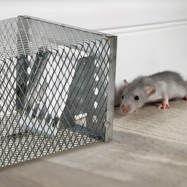 Sveora™ MouseTrap – Återanvändbar, Giftfri och Human Musfälla