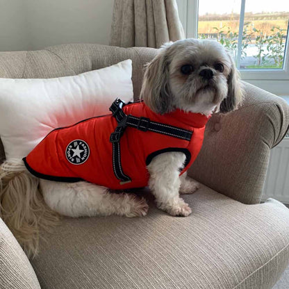 Sveora™ ArcticPaw - Hundjacka Varm vinterjacka med integrerad sele