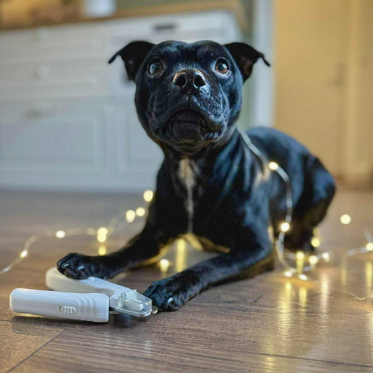 TassTrim™ 2-i-1 Säker och stressfri klippning