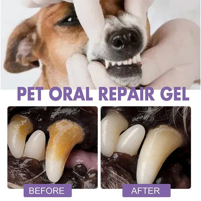 PetSmile Dental Gel™ – Tandrengöring för Hund & Katt