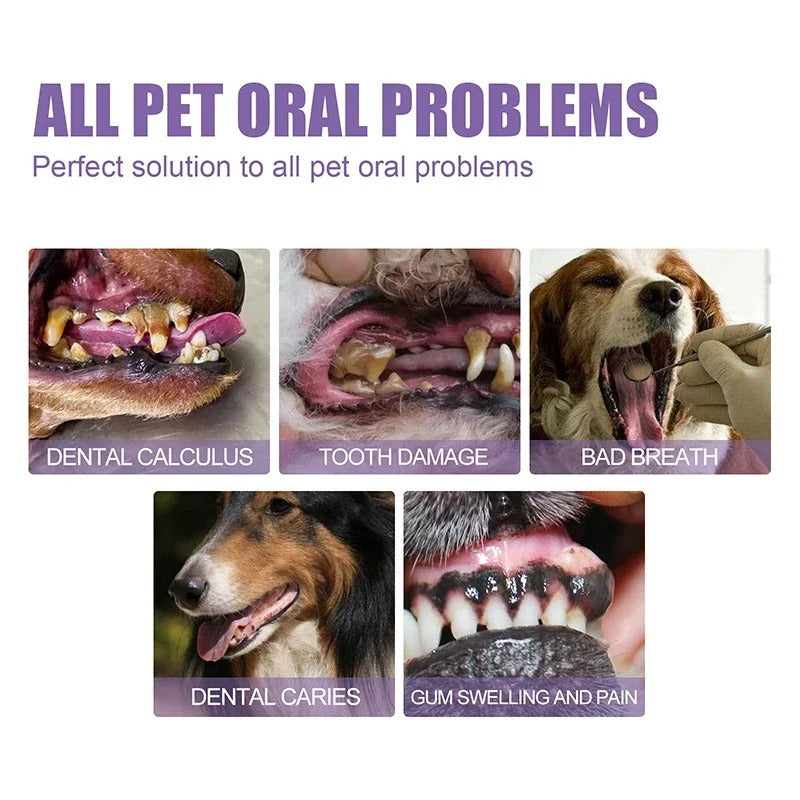 PetSmile Dental Gel™ – Tandrengöring för Hund & Katt