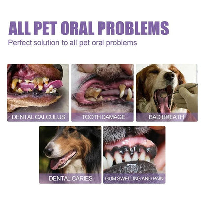PetSmile Dental Gel™ – Tandrengöring för Hund & Katt